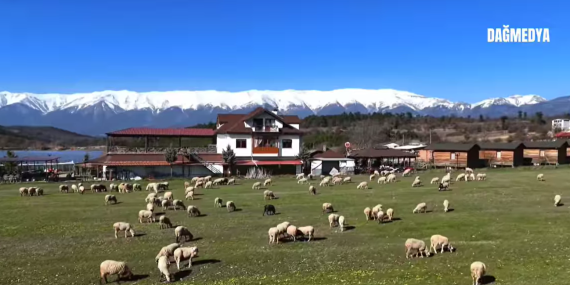 Natural Park’ın muhteşem ihtişamı
