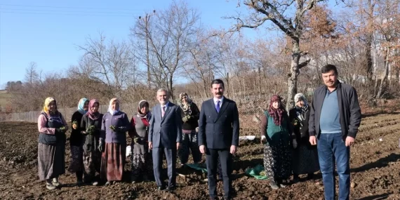 Bursa Keles’te Örnek Salep Bahçesi Oluşturuldu