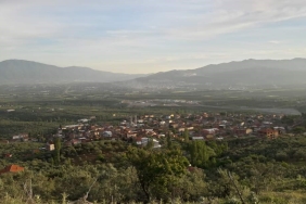 ORHANGAZİ YENİKÖY’DE UYUZ VAKALARI ARTTI, MUHTARLIK UYARDI