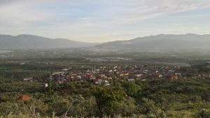 ORHANGAZİ YENİKÖY’DE UYUZ VAKALARI ARTTI, MUHTARLIK UYARDI