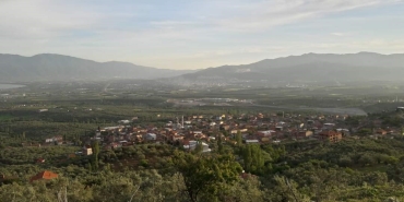 ORHANGAZİ YENİKÖY’DE UYUZ VAKALARI ARTTI, MUHTARLIK UYARDI