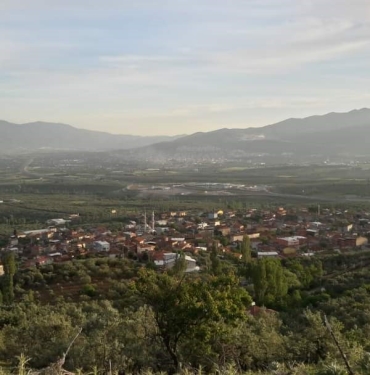 ORHANGAZİ YENİKÖY’DE UYUZ VAKALARI ARTTI, MUHTARLIK UYARDI