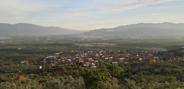 ORHANGAZİ YENİKÖY’DE UYUZ VAKALARI ARTTI, MUHTARLIK UYARDI