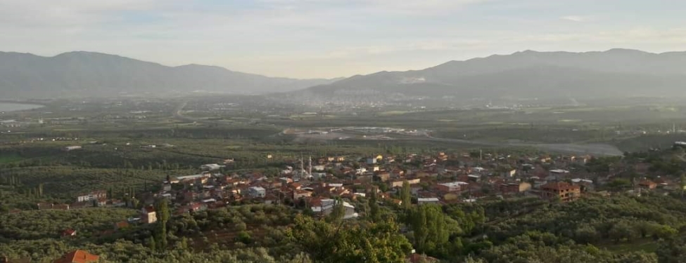 ORHANGAZİ YENİKÖY’DE UYUZ VAKALARI ARTTI, MUHTARLIK UYARDI